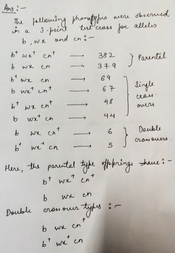ą } Parental s cross- overs Ans :- The following phonatypes were observed in a 3-point test cruess for alleles b, we and cni-