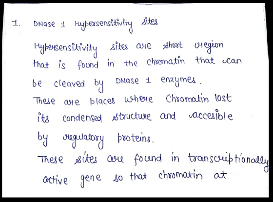1. be by Dnase 1 Hypersensitivity sites Hypersensitivity sites que short vregion that is found in the chromatin that can clea