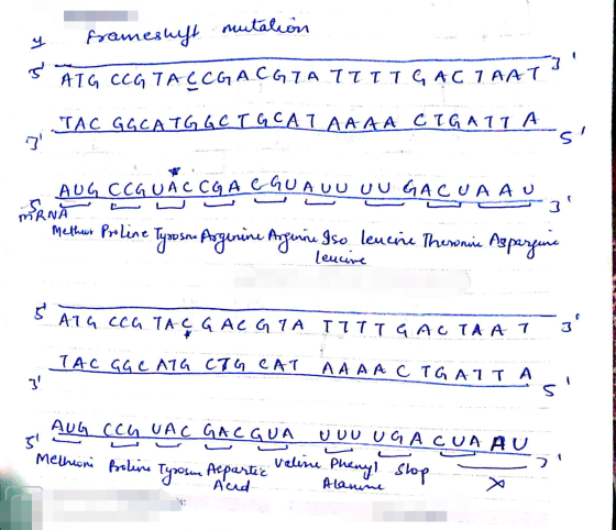 y frameshyt mutation Sят, ссс, ТАСС А. СТА ТЕтте АС 1 ААТ 1 TAC GGCAT, GCTGCA1AAAA CIGA11 A. AC CGA CGUA UU UU GACUA AU MRNA