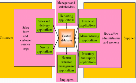 Managers and stakeholders Reporting applicationsFinancial Sales and delivery applications applications Sales force and custom