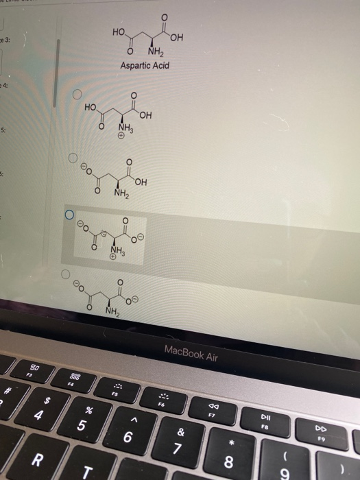 HO hom Aspartic Acid or NH3 O 002 ОН -00 NH2 MacBook Air 80 02