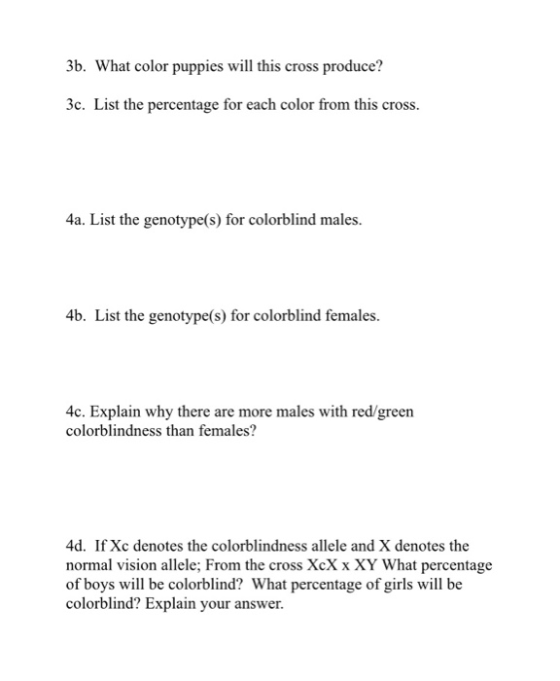 3b. What color puppies will this cross produce? 3c. List the percentage for each color from this cross. 4a. List the genotype
