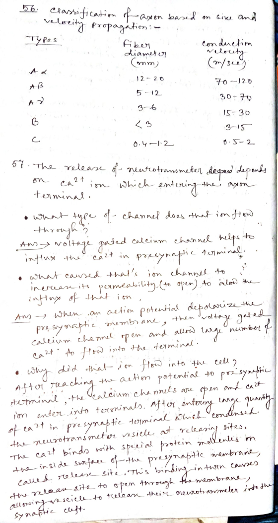 velocity 56. Classification of axon based on size and velocity propaga Types fiber o conduction diameter (mm) (m/sce) 12-20 7