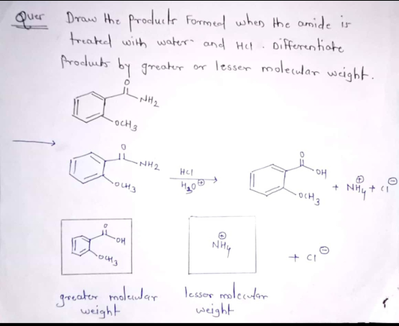 Quer Draw the products Formed when the amide is treated with water and Hel. Differentiate Products by greater or lesser molec