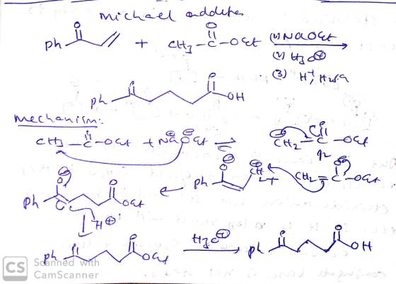 phill + City michael addete tunaout too e se (3) H Ha out LOH 2 mechanilm: mechanism of the sout en skou w a phi how the pini