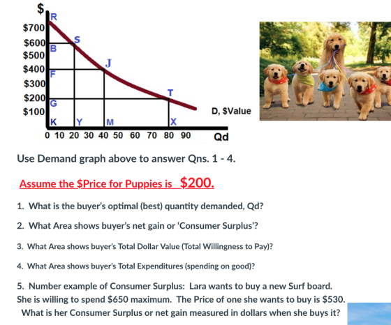 $700 $600 $500 $400 $300 $200 $100 D, $Value 0 10 20 30 40 50 60 70 80 90Qd Use Demand graph above to answer Qns. 1 -4. Assume the $Price for Puppies is$200 1. What is the buyers optimal (best) quantity demanded, Qd? 2. What Area shows buyers net gain or Consumer Surplus? 3. What Area shows buyers Total Dollar Value (Total Willingness to Pay)? 4. What Area shows buyers Total Expenditures (spending on good)? 5. Number example of Consumer Surplus: Lara wants to buy a new Surf board. She is willing to spend $650 maximum. The Price of one she wants to buy is $530. What is her Consumer Surplus or net gain measured in dollars when she buys it?