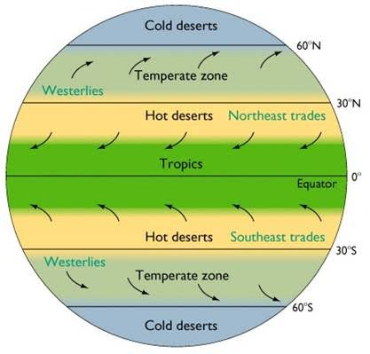 Cold deserts 60 N Temperate zone Westerlies 30 N Hot deserts Northeast trades Tropics Equator Hot deserts Southeast trades 30