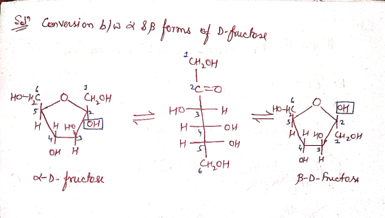 Soja Conversion blw & 8ß forms of D-fouctose U . -CH₂OH но-те о кон . to the on H HOAH 26=0 Host Hou H OH CHOH HHHO Con - OH