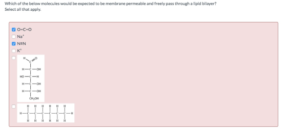 Which of the below molecules would be expected to be membrane permeable and freely pass through a lipid bilayer? Select all t
