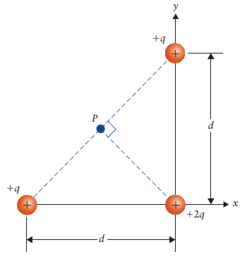 2 .y P.