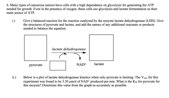 6. Many types of cancerous tumors have cells with a high dependence on glycolysis for generating the ATP needed for growth. E