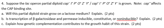 4. Suppose the lac operon partial diploid cap 1 P O T Y* / capt r pt O* 7 r is grown. Note: cap affects the CAP binding site