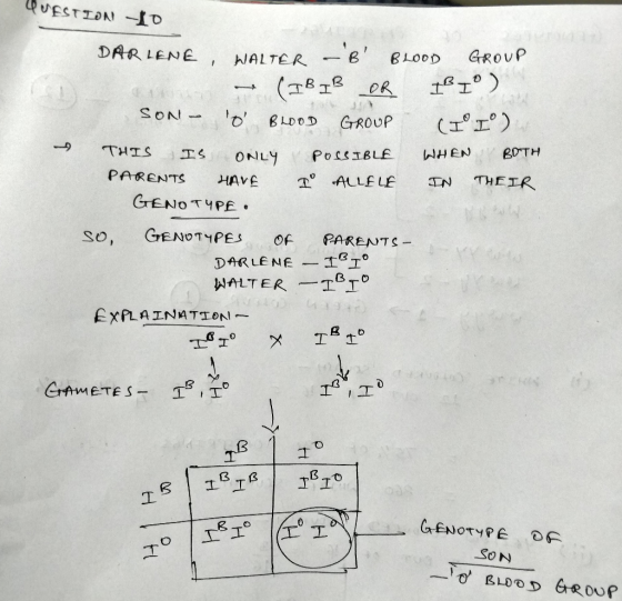 QUESTION 10 DAR LENE, WALTER - B BLOOD GROUP (IB IB OR BI°) SON - o BLOOD GROUP (Iº I°) THIS IS ONLY POSSIBLE WHEN BOTH PA