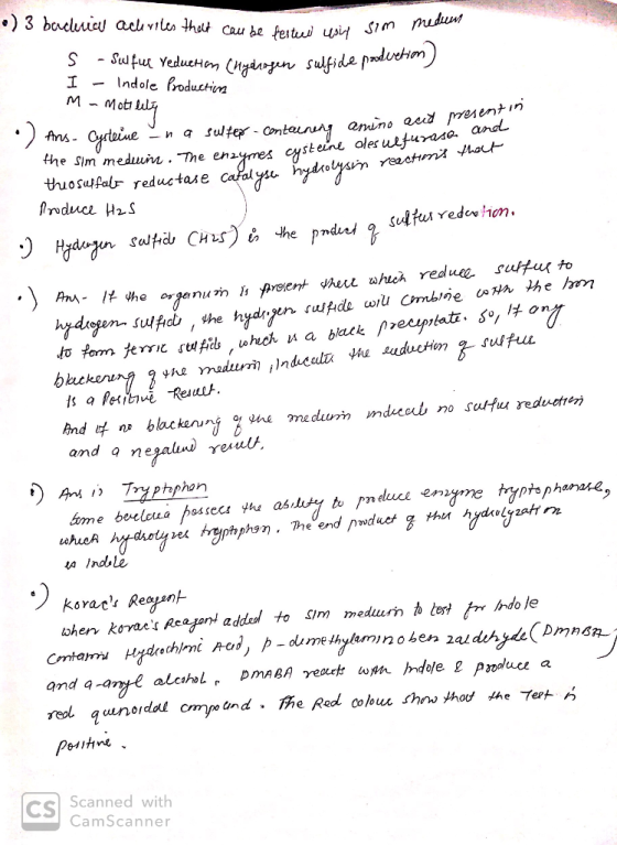 3 bacluicl acuviles thelt cau be feitui usif Sim nuduu - Sulfu YedueHm nzdarjun sulfide proderetim) Indole froductin I M -n a