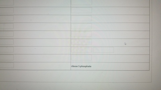 ribose 5 phosphate
