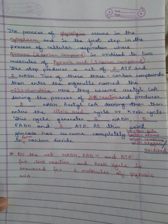 Data Page The process of glycoly in occurs in the 4 cytoplasm and is the first step in the process of cellular respiration wh