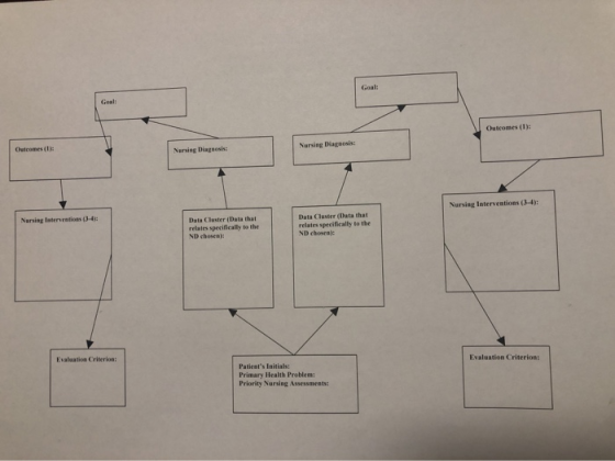 Outcomes (1): Nursing Diagnosis Outcomes (1) Nering Diagnosis Nursing Interventions (3-4): Nursing latentation (3-4) Data Clu