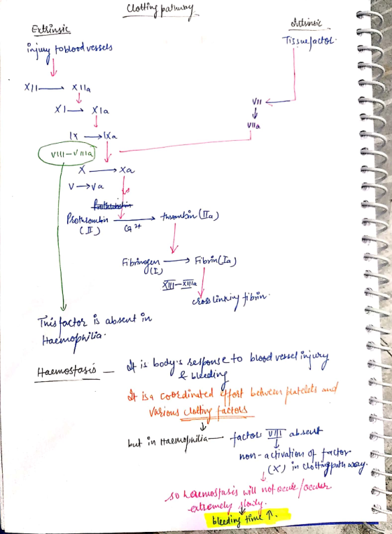 clotting paruny Extrinsic injury to blood vessels Jutsuisic Tissuefactor XI Xlla XI Xla IX-> Xa VII-Villa X- V >va ਸੰਨਿਆ Prot