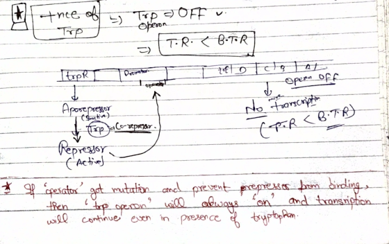 thee of Trp 5) TOP DOFF Operon. T.R. B-TR 2) TtrpR zeto Tots at opeana I opern off No toonscription Apore pressor Top ja Co-g