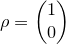 \small \rho=\begin{pmatrix} 1\\ 0 \end{pmatrix}