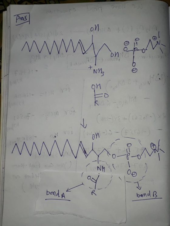 OM БИ on Care - ly & + ( 22. 2014) on)-(F )- mwin 00 bond A bond B