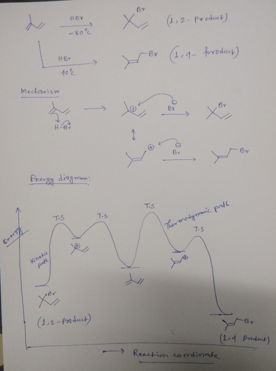 НОТ (1,2-Product) 80 Br (1.9 poroduct) Hor 40°C Mechanism - Br Energy diagram т.5 Tos Thermodynamic path T. Ener Kinetic, pat