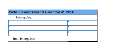 Partial Balance Sheet at December 31, 2014: Intangibles: Total Intangibles
