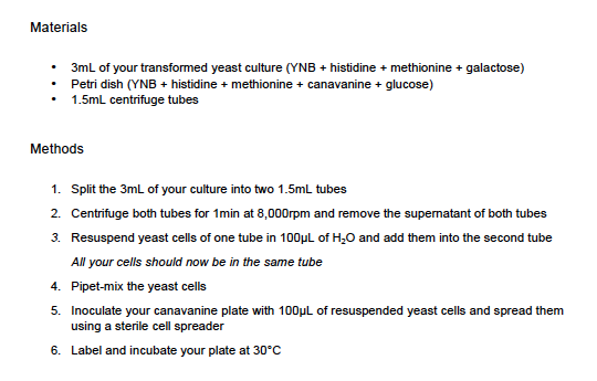 Materials • 3mL of your transformed yeast culture (YNB + histidine + methionine + galactose) • Petri dish (YNB + histidine +