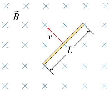 X X X X X X X X L X X X X ע X x X X X X X X B X X X X X