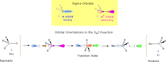 Sigma Orbitals PIEC RA R C- X o orbital bonding R o * orbital antibonding Orbital Orientations in the Sn2 Reaction L QUOTG L-