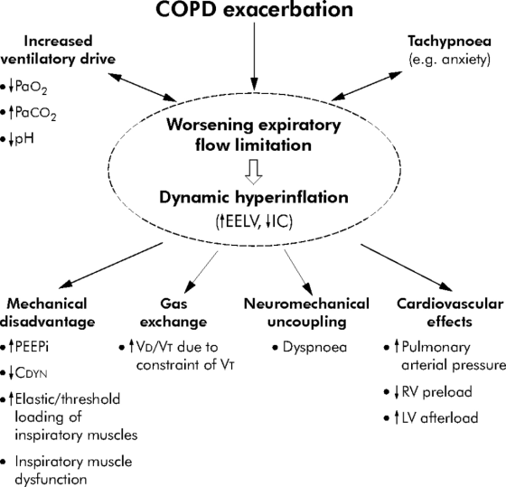 COPD exacerbation Increased ventilatory drive of Paoz Tachypnoea (e.g. anxiety) pH Worsening expiratory flow limitation Dynam