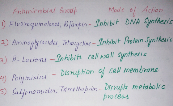 Antimicrobial Gup D Fluo veguin olone, Rfainhibit DNA yntherie 2) Aminogycudes, Twhasyecine- Inhibit Protein Syntheu o ) R La