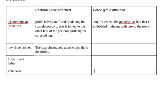 Pectoral girdle attached Pelvic girdle attached Chondrichthan girdle halves are fused producing thesingle element, the puboshiac bar, that is (Squalus) scapulocoracoid, that is joined to the embedded in the musculature of the trunk other half of the pectoral girdle by the coracoid bar. ray finned fishes The scapulocoracoid attaches the fin to the girdle. Lobe finned fishes Tetrapods