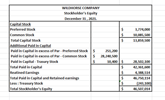 $ $ $ 3,774,000 10,085,500 13,859,500 WILDHORSE COMPANY Stockholders Equity December 31, 2021. Capital Stock Preferred Stock