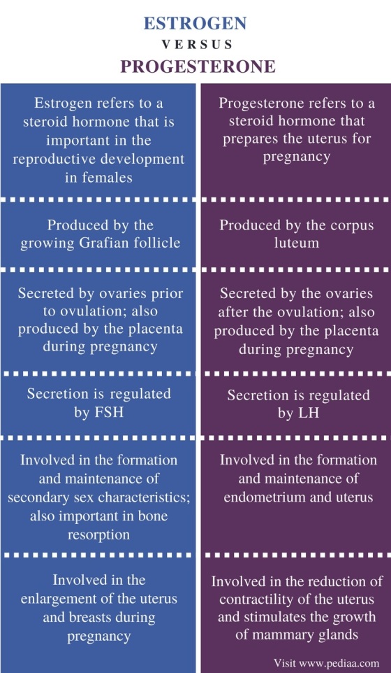 Image result for difference between estrogen and progesterone