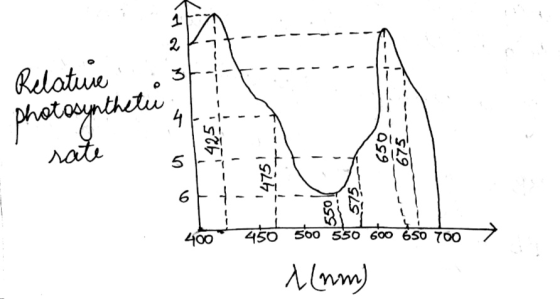 1 Relature photosyntheti Tata Mt rate .: 674-9- 400 450 500 550 600 650 700 1 (mm) 50 700 7