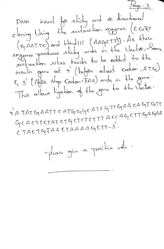 Page-3. DNA insert for sticky end as directional cloning thing the sentenckiem argymes (EcoRI (GAAT Tc) and Hindell (AAGCTT).