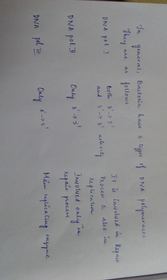 eneral, Bacteia have 3 tups , both/ 3-25 처 is ınu olu edin. aur and s-73 auiv DNA pol D 3 7 5 DNA pol 3-7 S