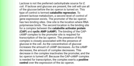 Lactose is not the preferred carbohydrate source for E coli. If lactose and glucose are present, the cell will use all of the