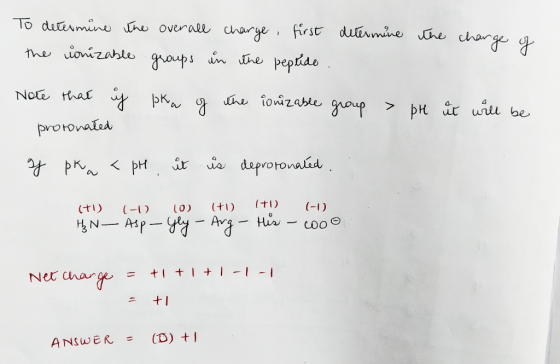 To determine the overall charge the ionizable groups in the determine first peptide . the charge of Note that y protonated pk