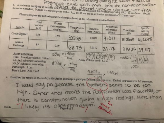 Dous lloded during the way to Proteins in eine Wrn that once the non-poc b. A student is purifying an enzyme wid heyme which