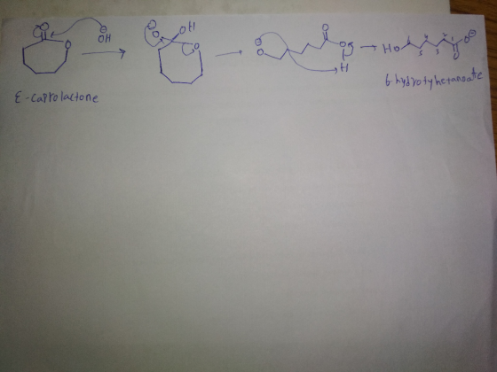 OH E-Capto lactone