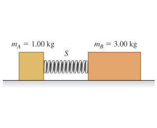 mA = 1.00 kg mg = 3.00 kg S
