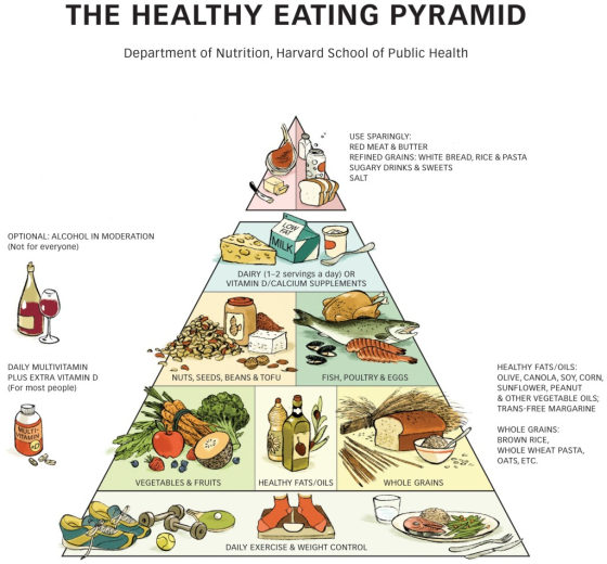 THE HEALTHY EATING PYRAMID Department of Nutrition, Harvard School of Public Health USE SPARINGLY: RED MEAT & BUTTER REFINED GRAINS: WHITE BREAD, RICE &PASTA SUGARY DRINKS&SWEETS SALT OPTIONAL: ALCOHOL IN MODERATION (Not for everyone) MILK DAIRY (1-2 servings a day) OR VITAMIN D/CALCIUM SUPPLEMENTS DAILY MULTIVITAMIN PLUS EXTRA VITAMIN D (For most people) HEALTHY FATS/OILS OLIVE, CANOLA, SOY, CORN SUNFLOWER, PEANUT & OTHER VEGETABLE OILS TRANS-FREE MARGARINE NUTS, SEEDS, BEANS &TOFU FISH, POULTRY & EGGS WHOLE GRAINS BROWN RICE WHOLE WHEAT PASTA, OATS, ETC: ULTI TAMIN VEGETABLES & FRUITS HEALTHY FATS/OILS WHOLE GRAINS DAILY EXERCISE & WEIGHT CONTROL