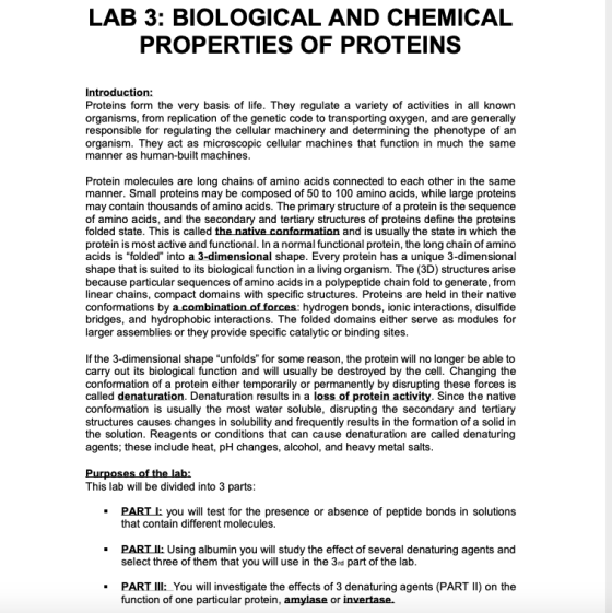 LAB 3: BIOLOGICAL AND CHEMICAL PROPERTIES OF PROTEINS Introduction: Proteins form the very basis of life. They regulate a var