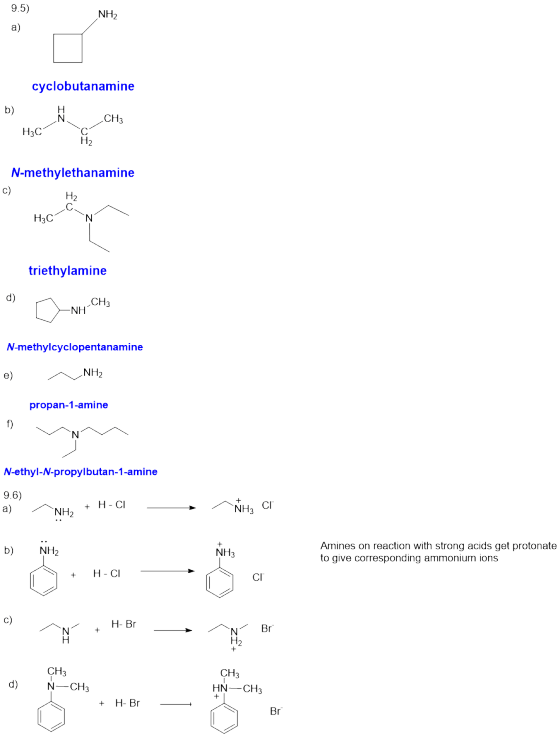 9.5) NH2 cyclobutanamine b) Hzc N CH3 N-methylethanamine c) H2 H₃c Ņ triethylamine d) O NH CH₃ N-methylcyclopentanamine e) ~