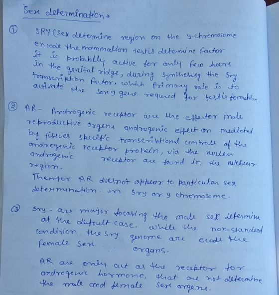 Sen determination y-chromosome SRY (sex determine region on the y. encode the mammalian tests determine factor is probabily
