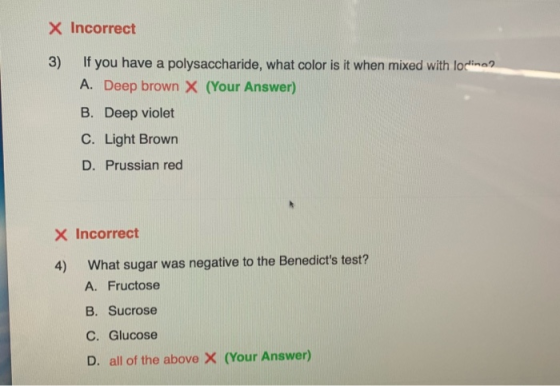 X Incorrect 3) If you have a polysaccharide, what color is it when mixed with lodina? A. Deep brown X (Your Answer) B. Deep v