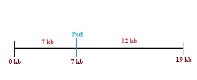 Psti 18 7 kb 1318 12 kb 0kb 7 kb 19 kb