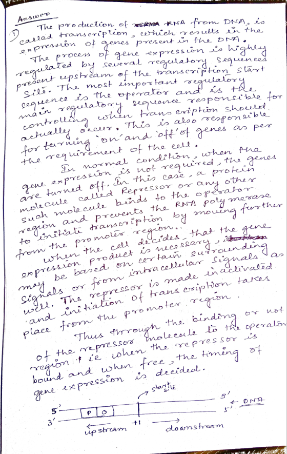 9 . Answer o The called to present une The production of wilt RNA od transcription, which results on the from DNA, es pressio